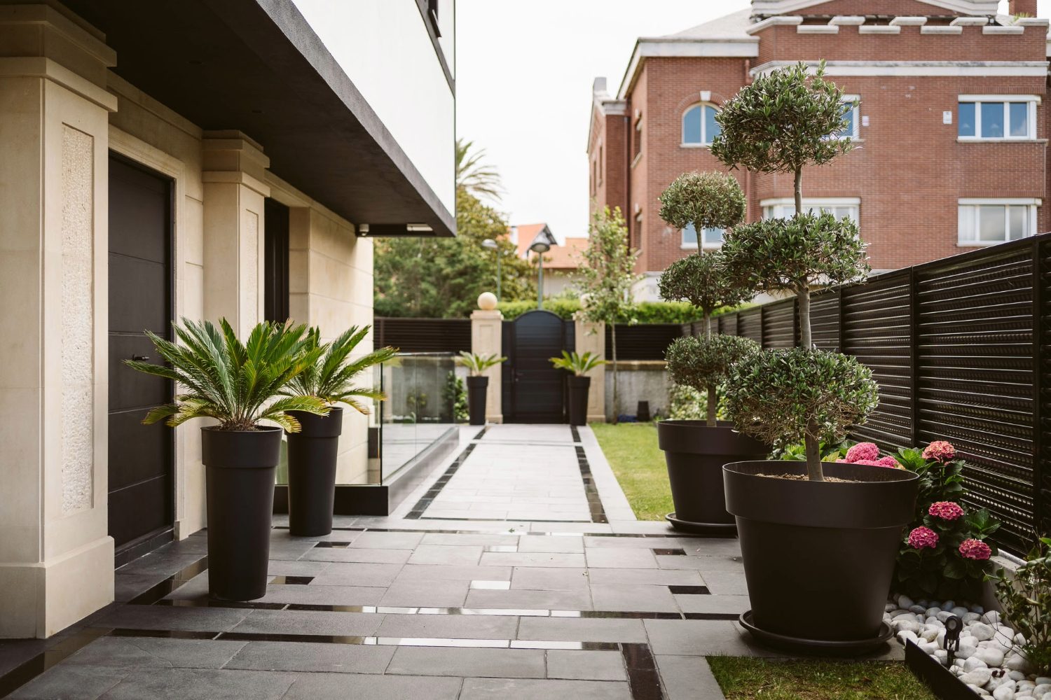 Adobe Express - file (2)