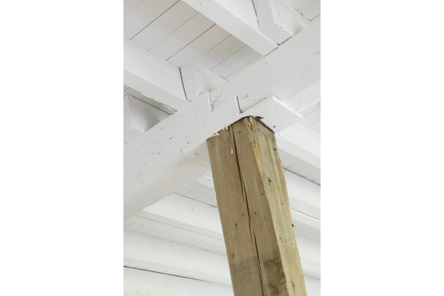 Paseo del Puerto (6)