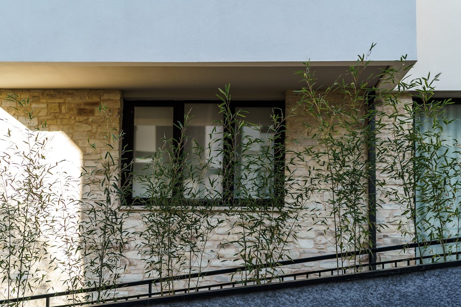 adv-leioa-25_alejandrobergado-6